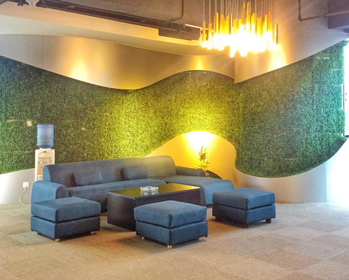 廈門冠贏網絡科技 引領網絡科技技術開發新潮流